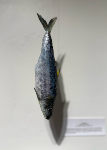 2026 ShowOff! Artwork Vanessa Ye