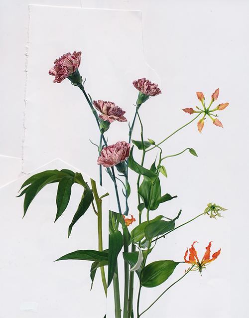 06_COPY Paul Butler_Untitled from Flower Series_2019.jpeg