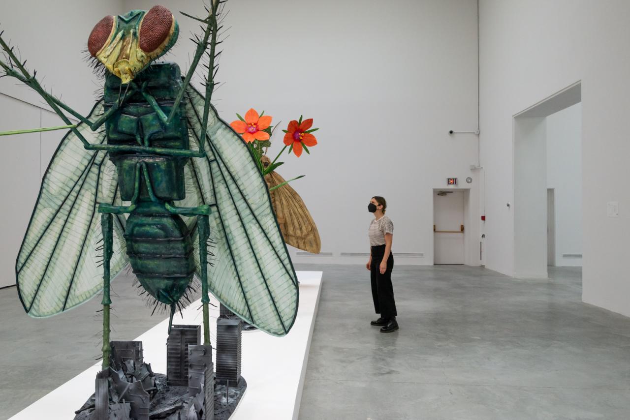 viewer looks a platform of larger than life sculptures, blue bottle fly in foreground