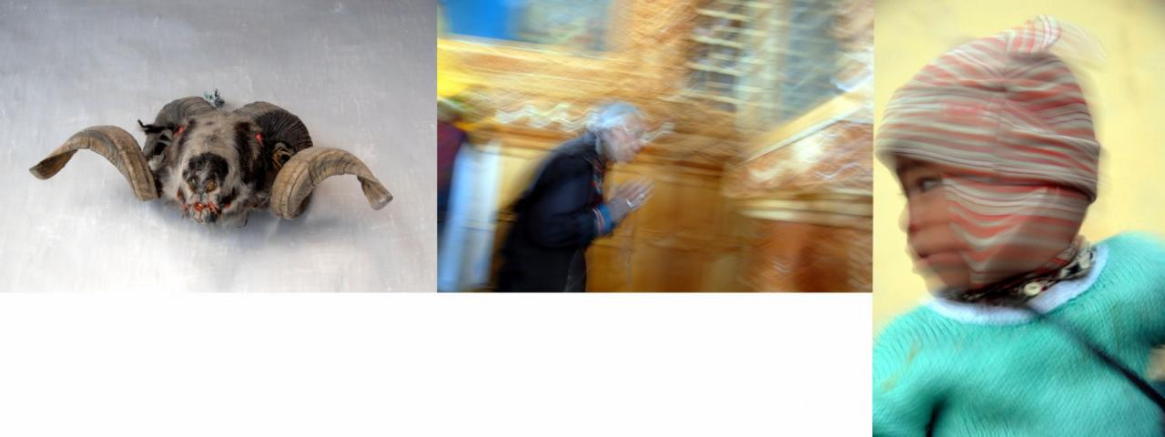 Promotional image from exhibition. Collage of a sheeps head, a figure praying and a child. 