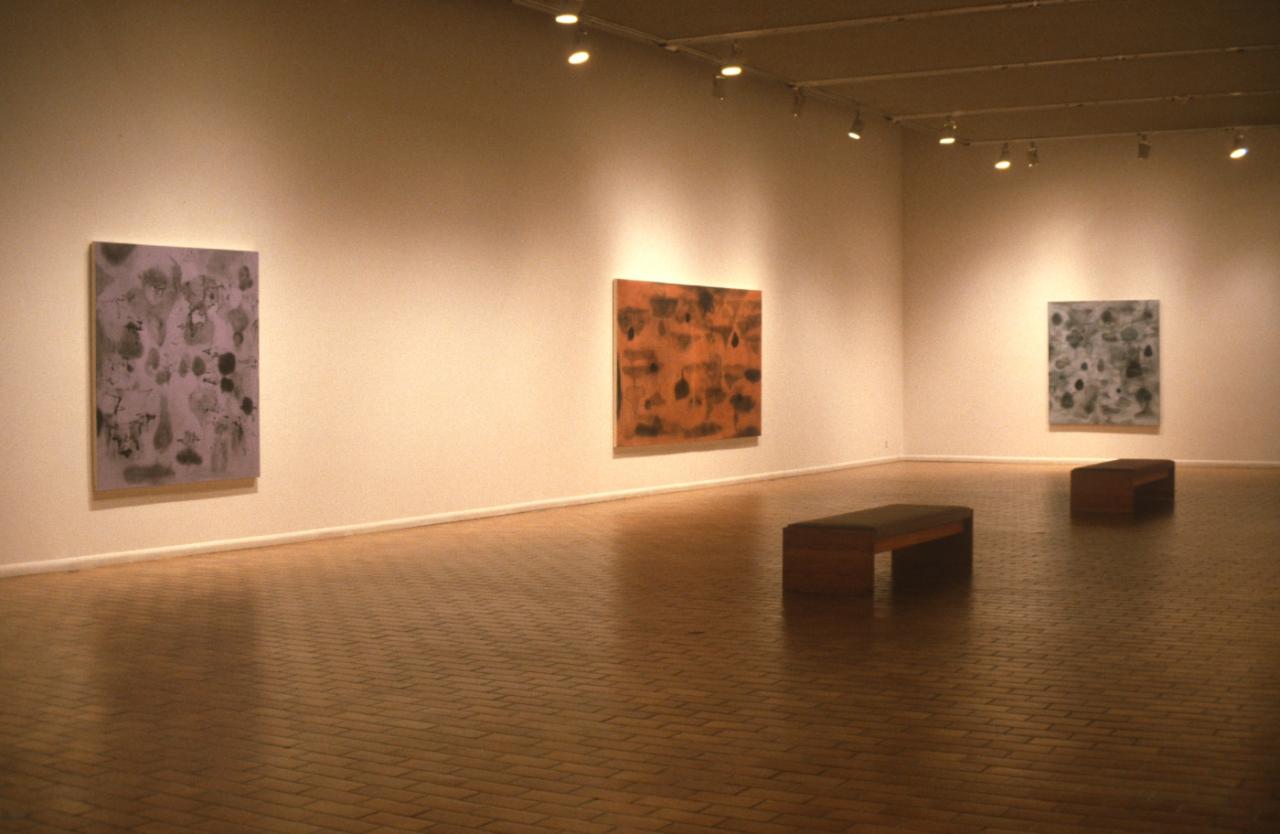 Installation view of Nameless Waters, Bobbie Oliver, 1999