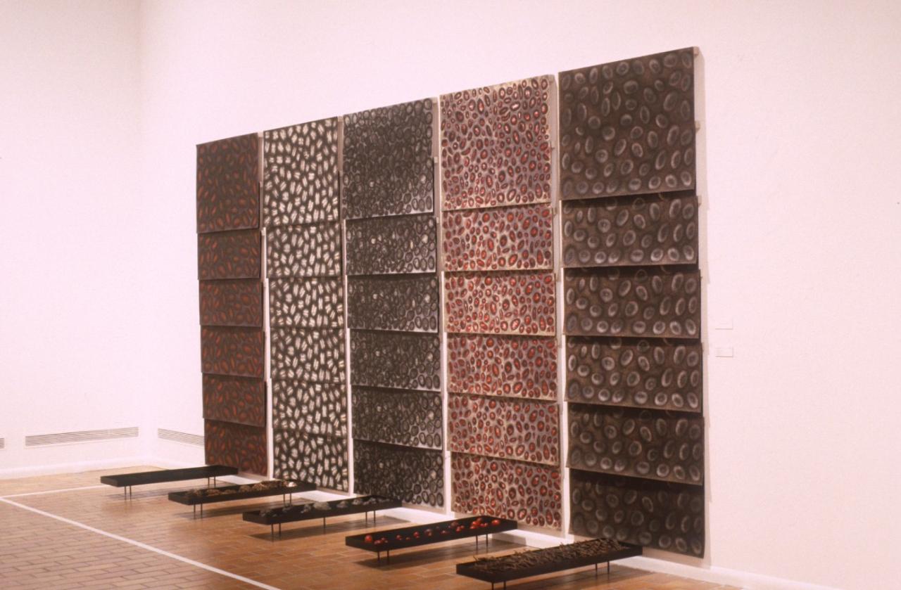 Lines of Sight, installation view, 2000.