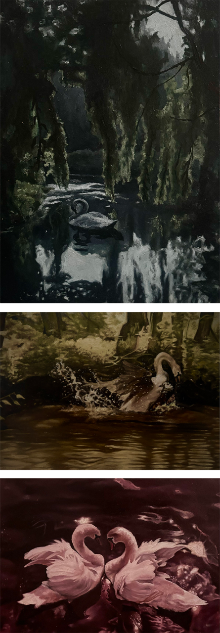 Swan Triptych, Madeline Magee artwork