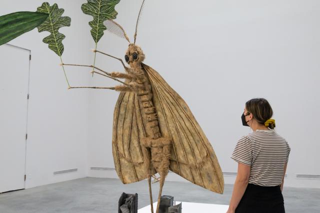 viewer looks at a larger than life moth sculpture holding two leaves in the air