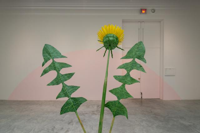dandelion with pink arc painted on wall