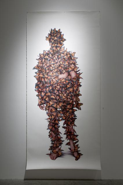 Detail of Emperor's New Clothes (2011). A life size pastel drawing of a figure almost completely covered by monarch butterflies. 