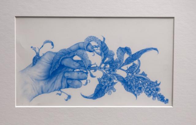 Detail of Stem 2 (2013). A blue drawing on mylar paper featuring flora growing from a hand. 