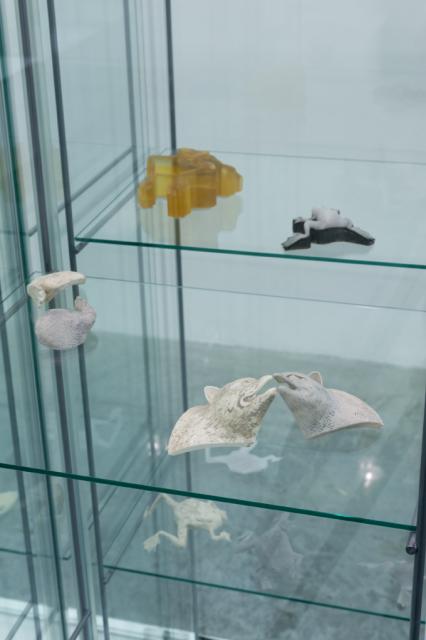 Detail of inside the tall glass display case. In plastic and clay materials various animal forms lay on the glass. 
