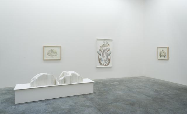 Gallery view featuring several works. Two large 3D printed frogs sit on a pedestal. There are three wall hanging pieces of fragmented teapot forms.  