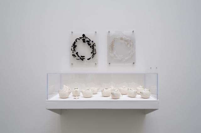  Slip-cast Teapots (Sparrows) (2011-2012). Twelve teapots sit in a display case. Above there are two transparent panels with printed designs on each. 