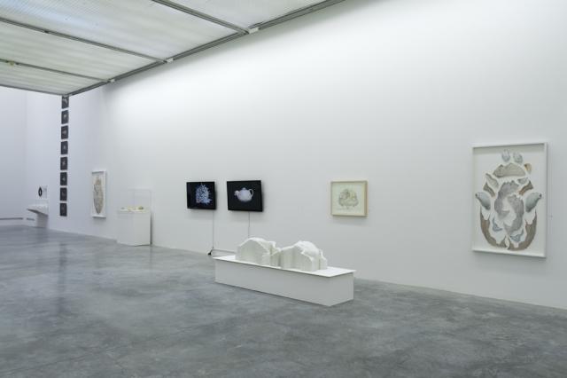 Gallery view featuring several works. 