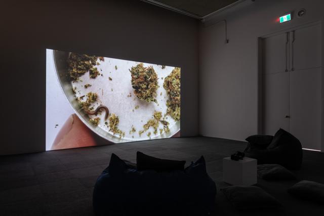 The Beyond Within video being shown in a darkened gallery with headphones and bean bag chairs