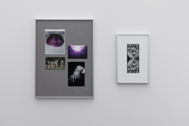 Two frames hung on the wall, one with 4 images including a pack of wolves, a purple shape, a purple flare, and a hand wearing a glove, the other with two hands holding two pebbles