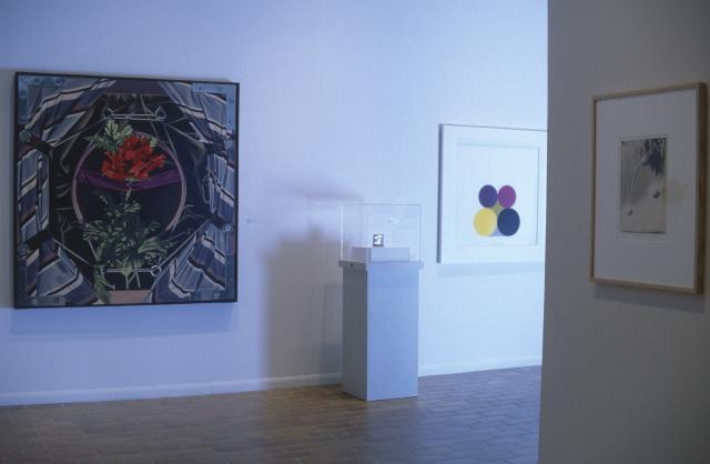 Installation view of AFA - Selection from the Collection, 1999