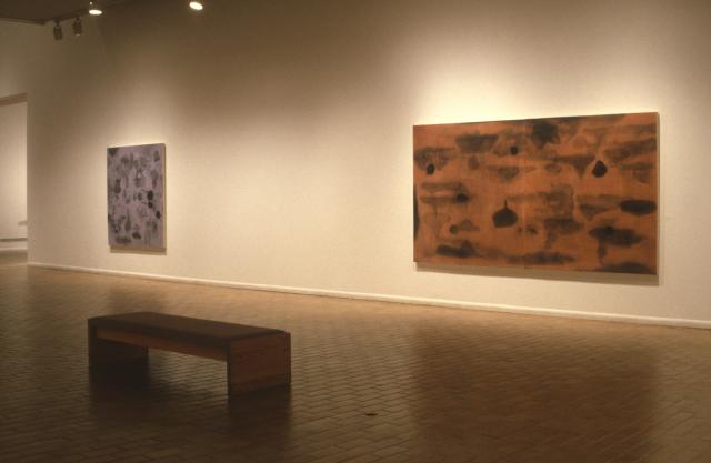 Installation view of Nameless Waters, Bobbie Oliver, 1999