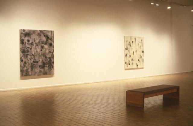 Installation view of Nameless Waters, Bobbie Oliver, 1999