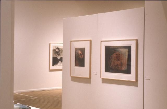 Lines of Sight, installation view, 2000.