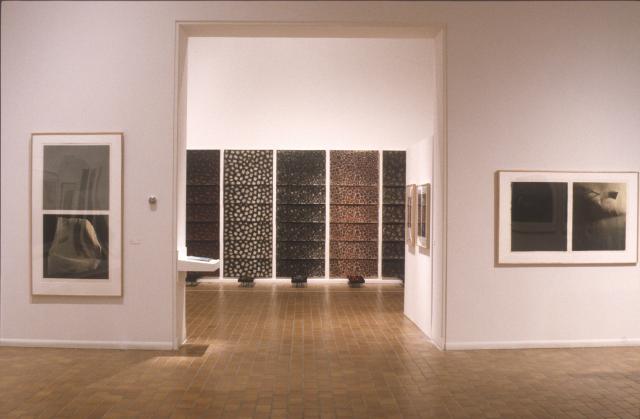 Lines of Sight, installation view, 2000.