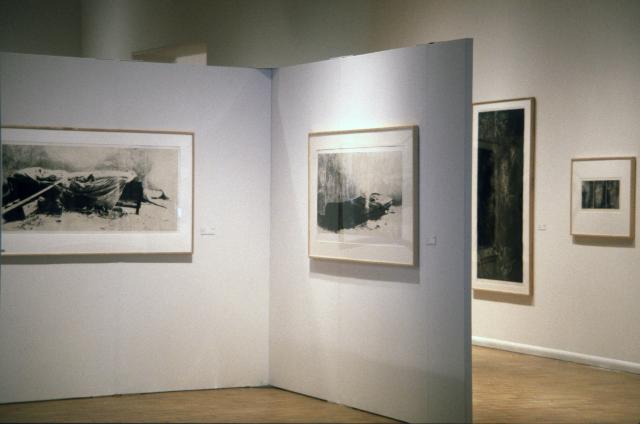 Lines of Sight, installation view, 2000.