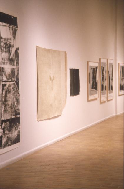 Lines of Sight, installation view, 2000.