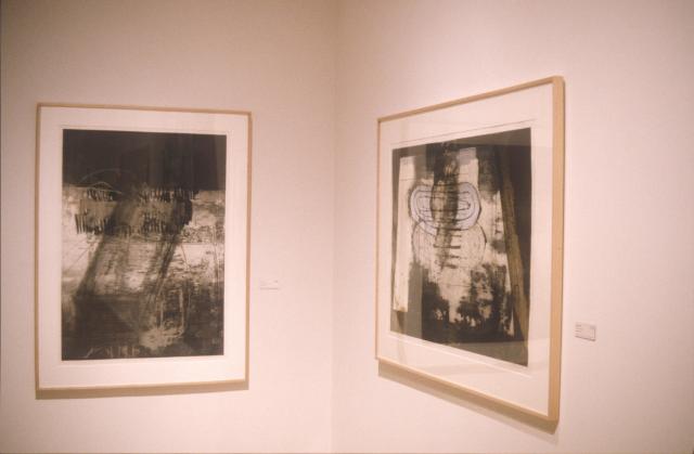 Lines of Sight, installation view, 2000.