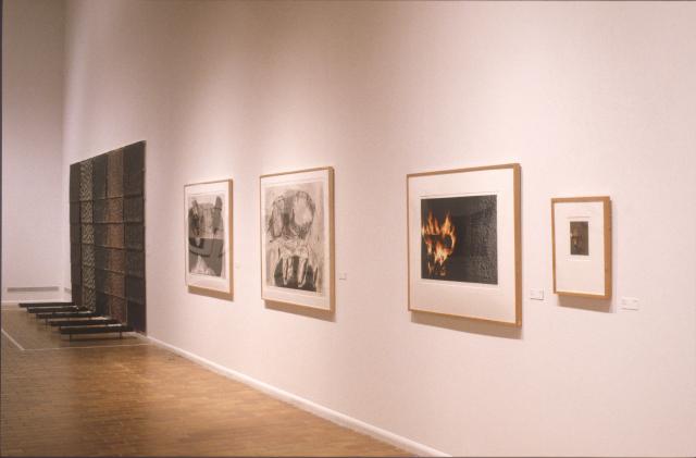 Lines of Sight, installation view, 2000.