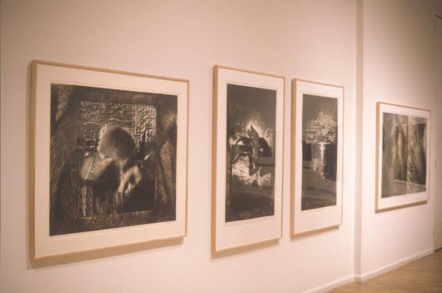 Lines of Sight, installation view, 2000.