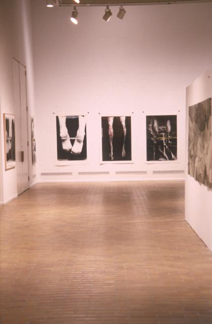 Lines of Sight, installation view, 2000.