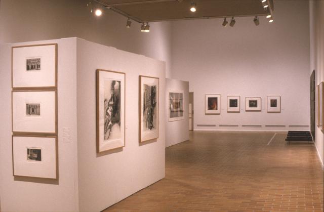 Lines of Sight, installation view, 2000.