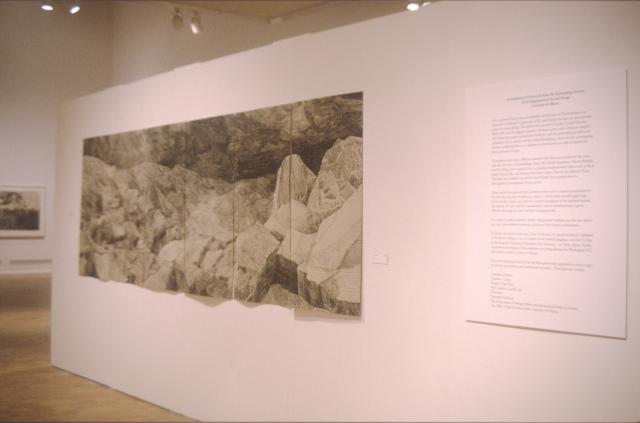 Lines of Sight, installation view, 2000.