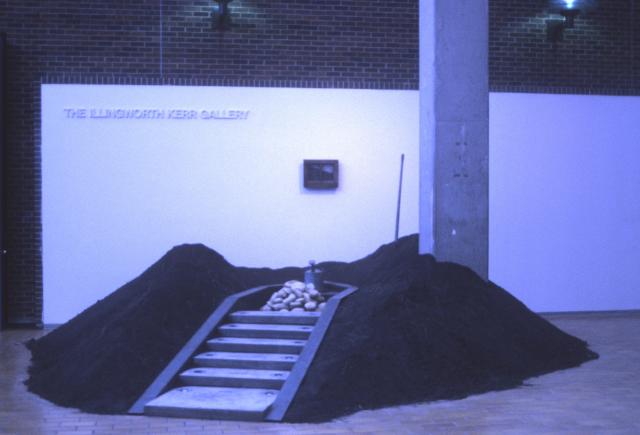 The Alberta Biennial of Contemporary Art, installation view, 2000.