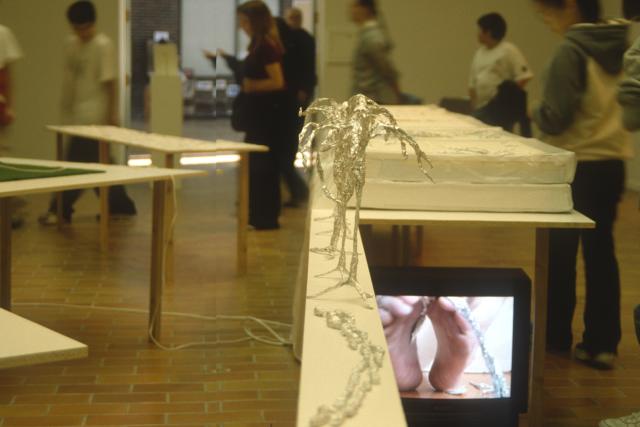 Message by Eviction, installation view, 2007