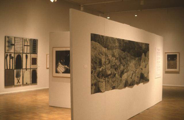 Lines of Sight, installation view, 2000.