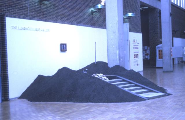 The Alberta Biennial of Contemporary Art, installation view, 2000.