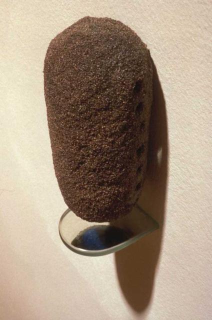 Jim Shrosbree, work detail, 2004. Sculptural work composed of a brown bulbous form affixed to a white wall. 