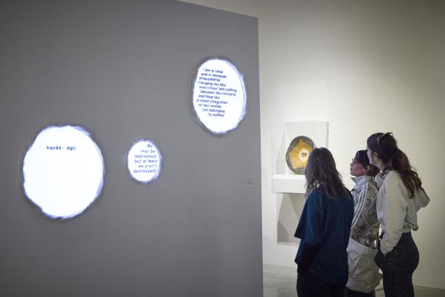 Installation view of Knowledge Made Concrete: 100 Years of Teaching and Collecting, 17 Jan — 8 Mar 2025, Illingworth Kerr Gallery, AUArts, Calgary. Photo Credit: Katy Whitt. 