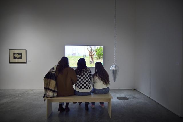 Installation view of Knowledge Made Concrete: 100 Years of Teaching and Collecting, 17 Jan — 8 Mar 2025, Illingworth Kerr Gallery, AUArts, Calgary. Photo Credit: Katy Whitt. 