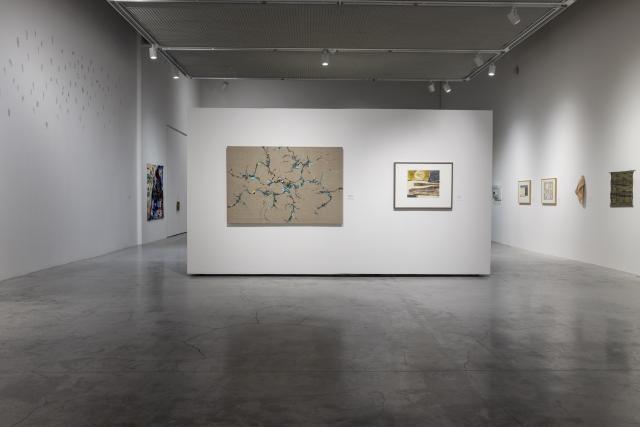 Installation view of Knowledge Made Concrete: 100 Years of Teaching and Collecting, 17 Jan — 8 Mar 2025, Illingworth Kerr Gallery, AUArts, Calgary. Photo Credit: Katy Whitt. 