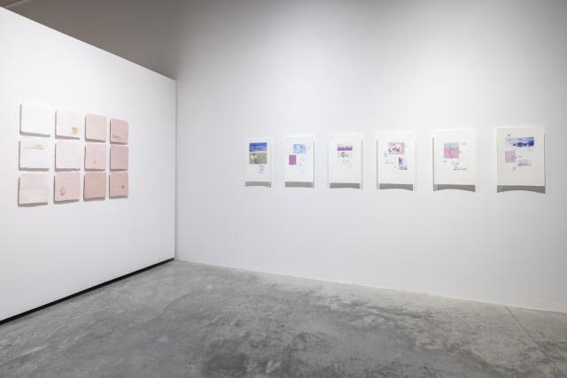 MFA Thesis Exhibition 2025, Installation view, 2025. Work by Sanaz Zamani. Image courtesy of Katy Whitt.