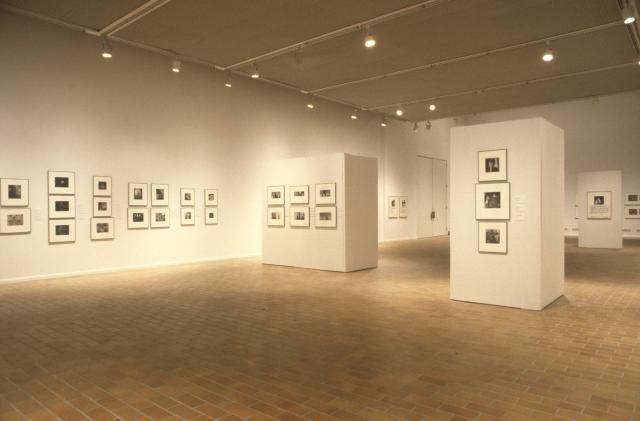 George Steeves: 1979 - 1993, installation view, 1996. Photo courtesy of the Illingworth Kerr Gallery.