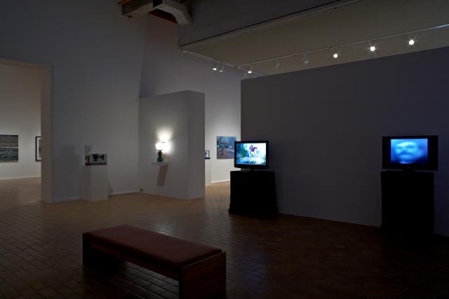 All Faculty Show 2010, installation view. 