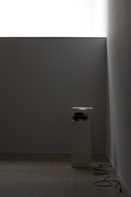 Death of Tom, installation view, 2009. 