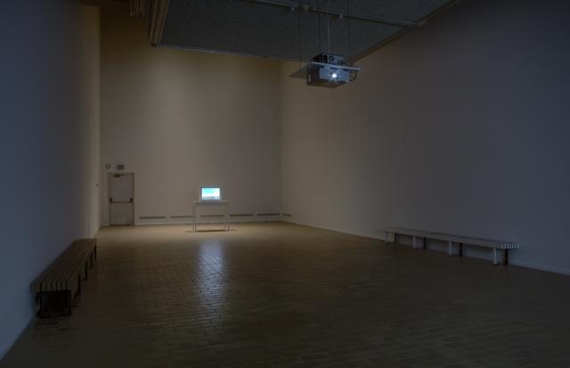 Death of Tom, installation view, 2009. 