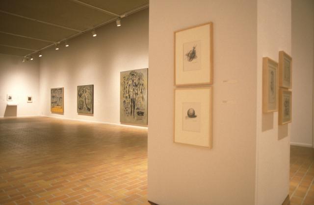 Other Ramifications, installation view, 1996. Photo courtesy of the Illingworth Kerr Gallery.
