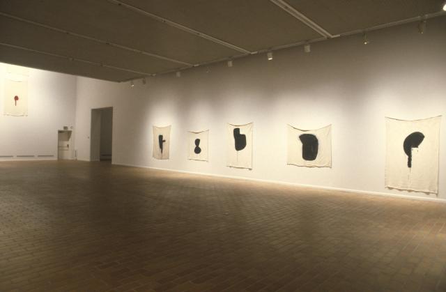 The Forming Rayons of John Heward, installation view, 1994. 