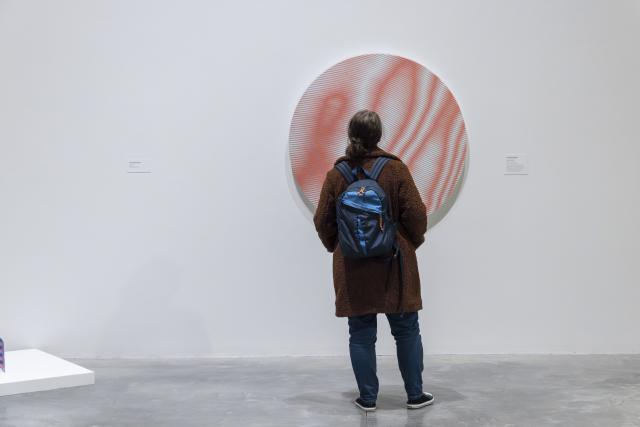  An Alberta A(r)ttitude, installation view, 2026. Courtesy of Katy Whitt. 