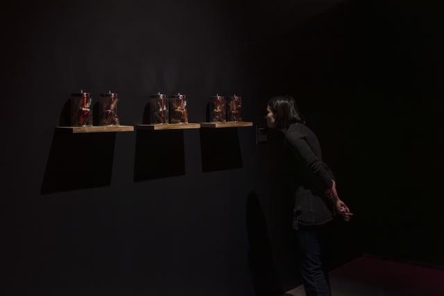  An Alberta A(r)ttitude, installation view, 2026. Courtesy of Katy Whitt. 