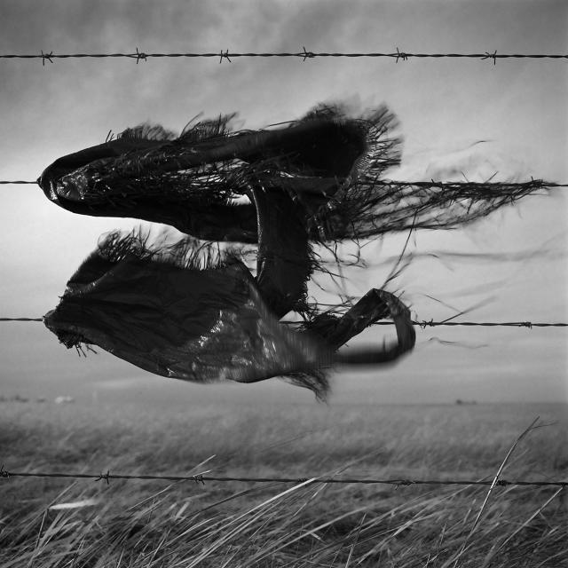 Snag – 23rd Street N.W., Medicine Hat, AB, Canada