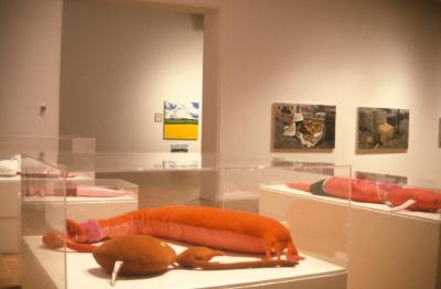 Installation view of Pursuit - New Art from Calgary, 1999