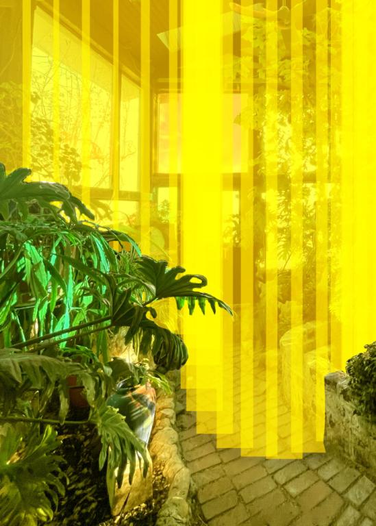 Living Curtain Living Curtain